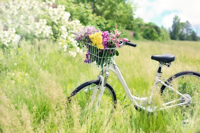 veľký bicykel
