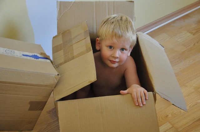 boxy