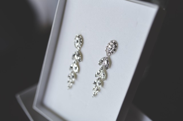 silver-791300_640